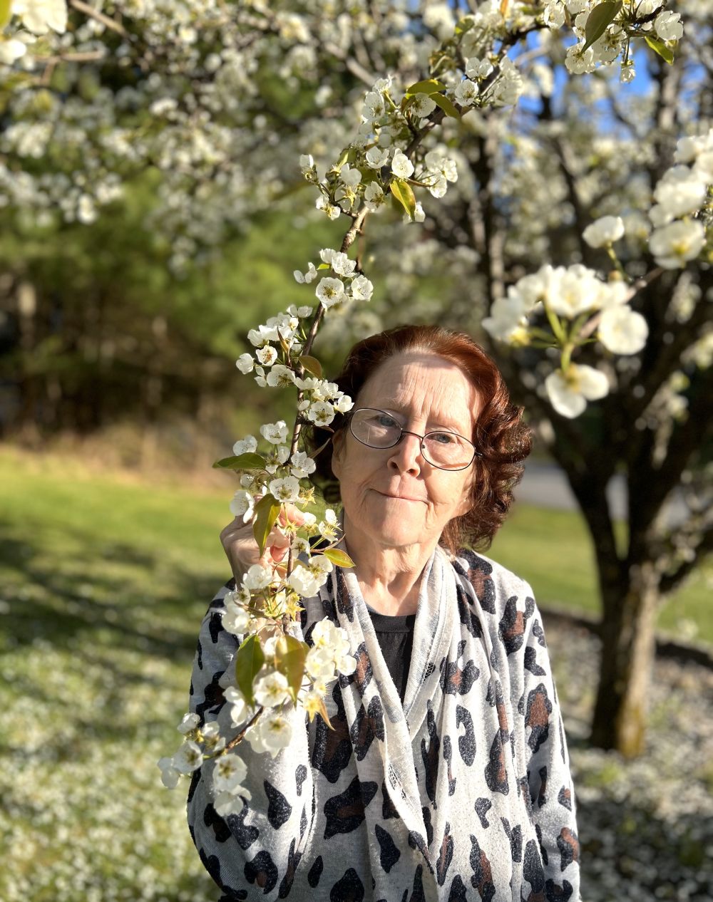 Sandra L. Saltman Website
