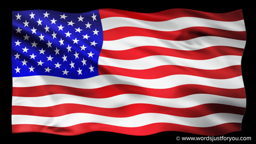 Waving American Flag